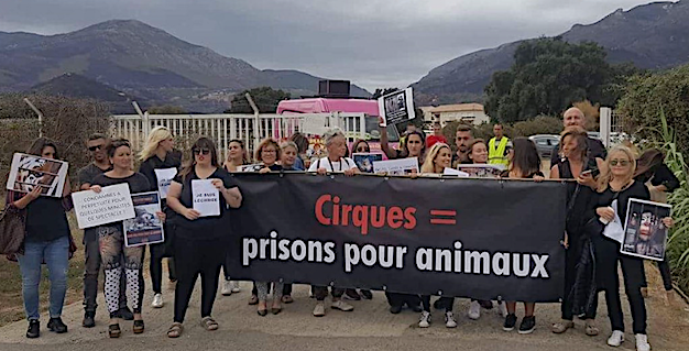 Biguglia : Animali manifeste contre les cirques avec animaux en Corse