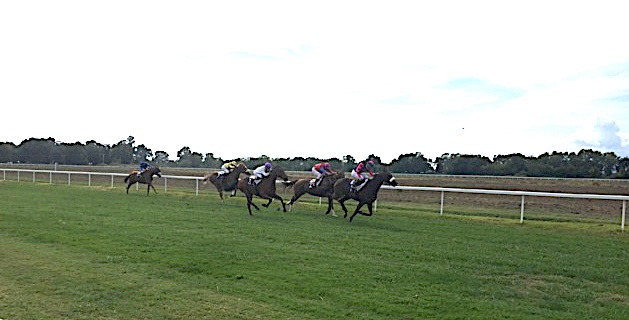 Christophe Soumillon remporte la 1ère course sur "Illusion sauvage'