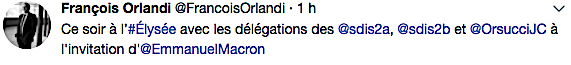 Les SDIS de Corse reçus à l'Elysée avec les autres centres de secours
