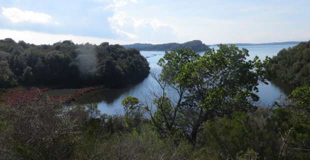 Le site de Terrenzana longe l'étang de Diana.