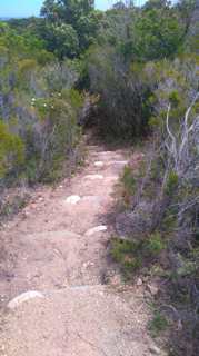 Plaine orientale : Le site naturel de Terrenzana, joyau méconnu, aménagé et ouvert au public