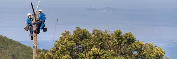 Nombreux foyers privés d'électricité dans le secteur de Monticellu