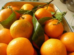 Les clémentines de l'espoir avec le Rotary Club Calvi-Balagne