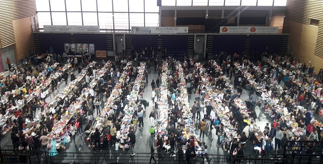 Seizième Marché des Jeunes au Palatinu : Entre partage et sensibilisation