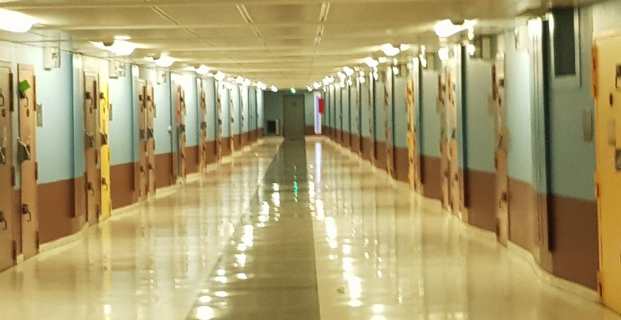 Prisonniers politiques corses : Les députés Pè a Corsica entament un cycle de visites