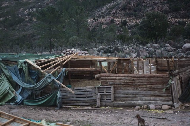Tous à Bonifatu samedi pour aider Jean-Louis Guidoni à reconstruire sa bergerie
