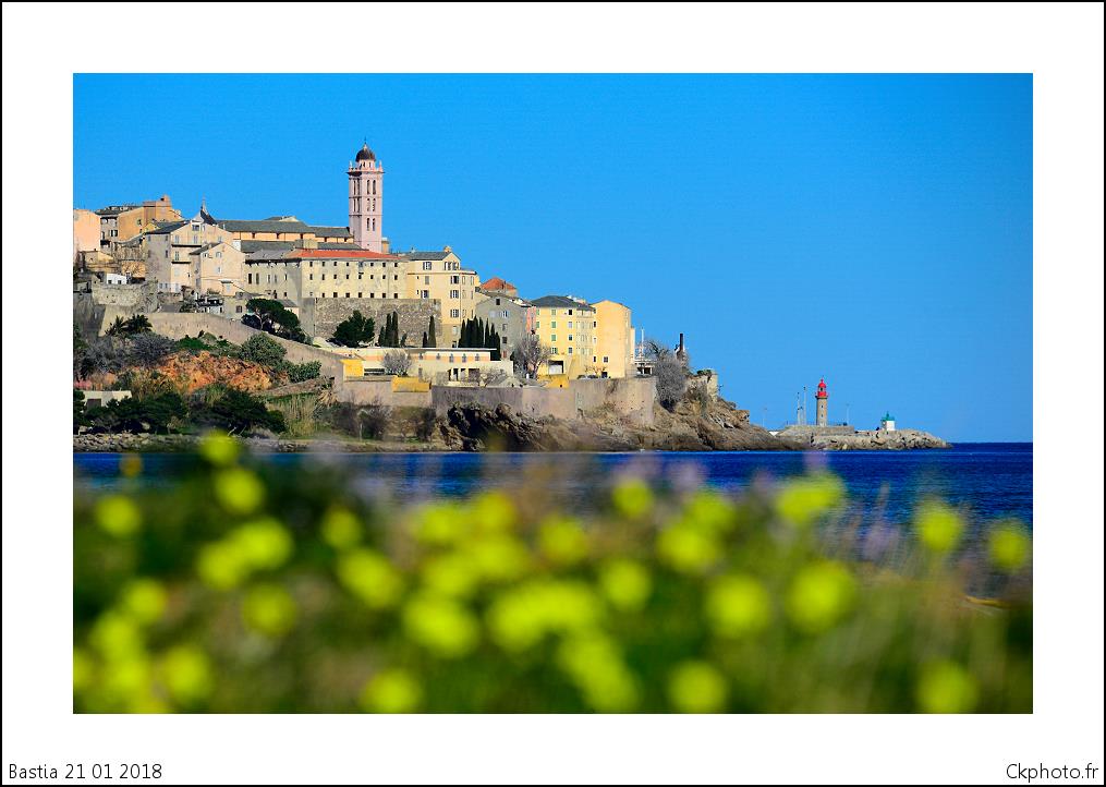 Bastia : Le printemps avant l'heure…