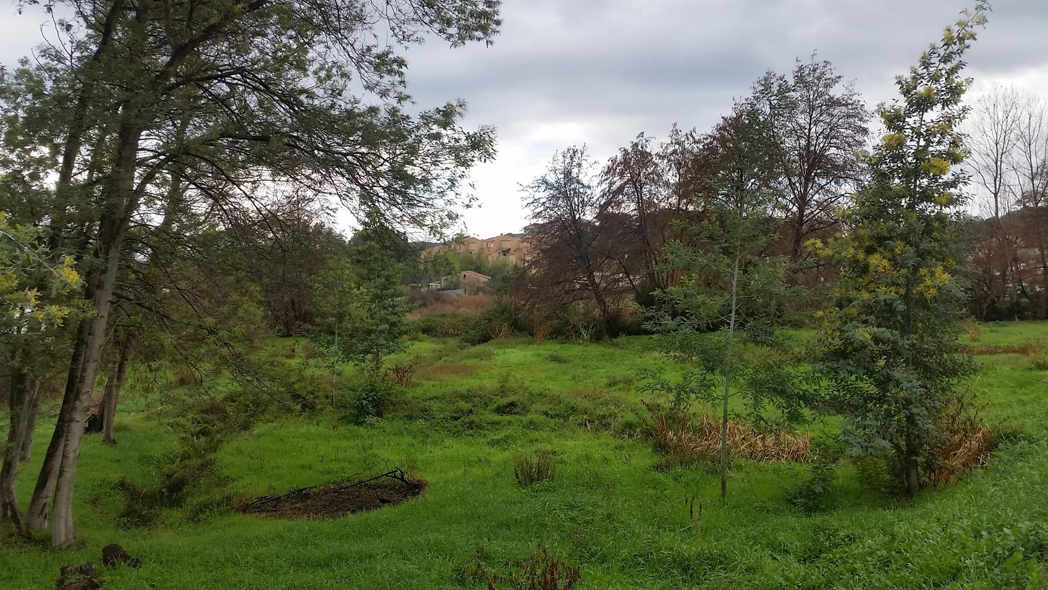 Sarrola-Carcopino : Les jardins du savoir, créateurs de lien social