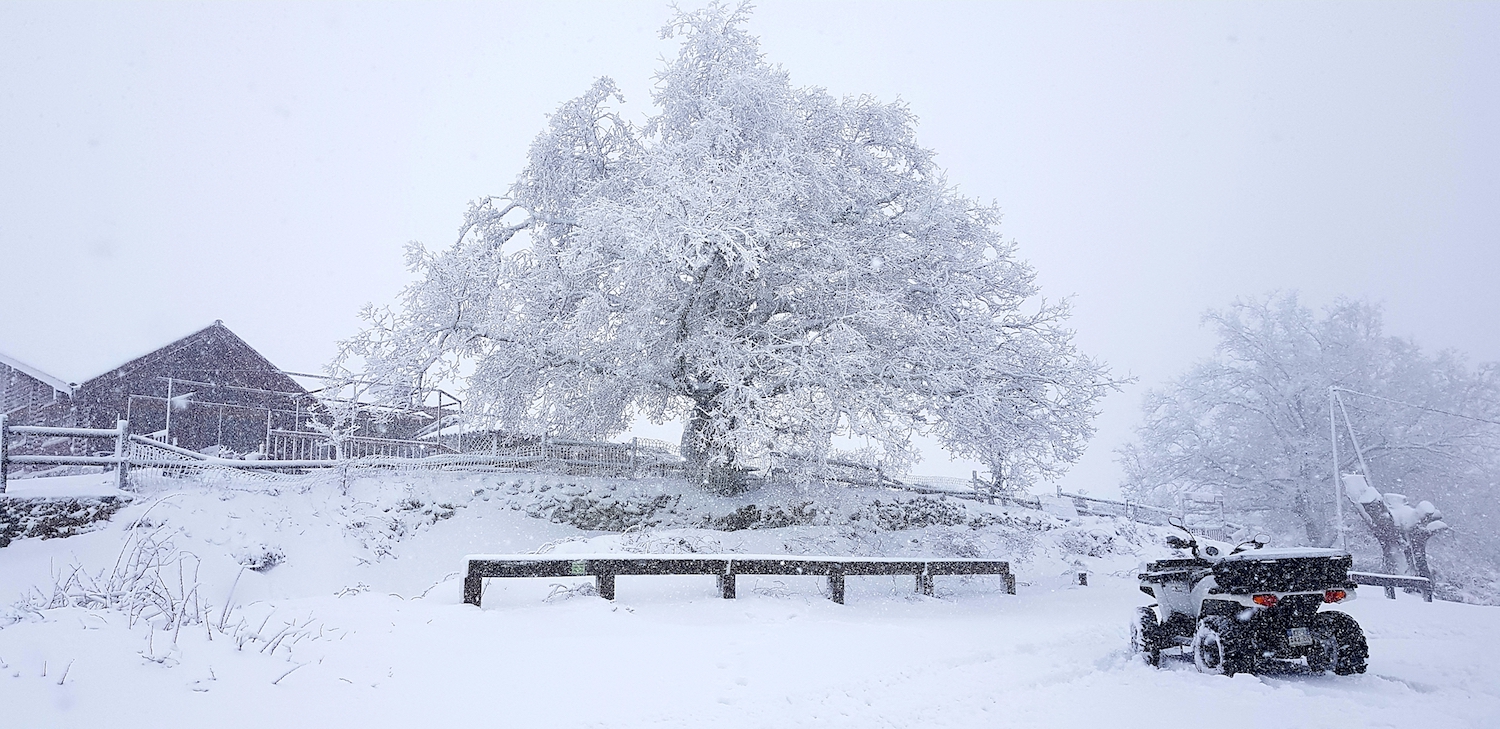 La photo du jour : A Bocca di a Battaglia paré de ses atours hivernaux 