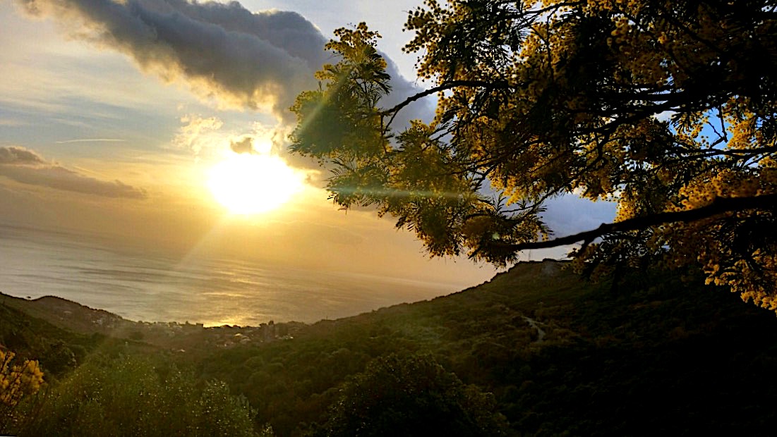 La photo du jour : Le Soleil comme une grosse boule de mimosa à Brandu