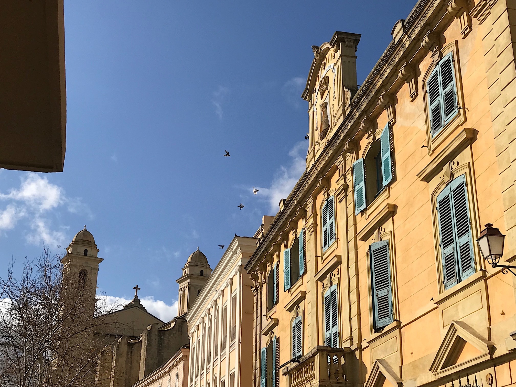 L'image du jour : Le fronton de l'hôtel de ville de Bastia et San Ghjuvà