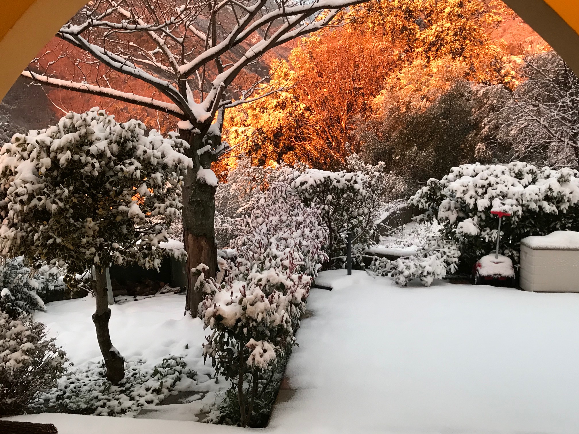 Corse : Les  images de la neige