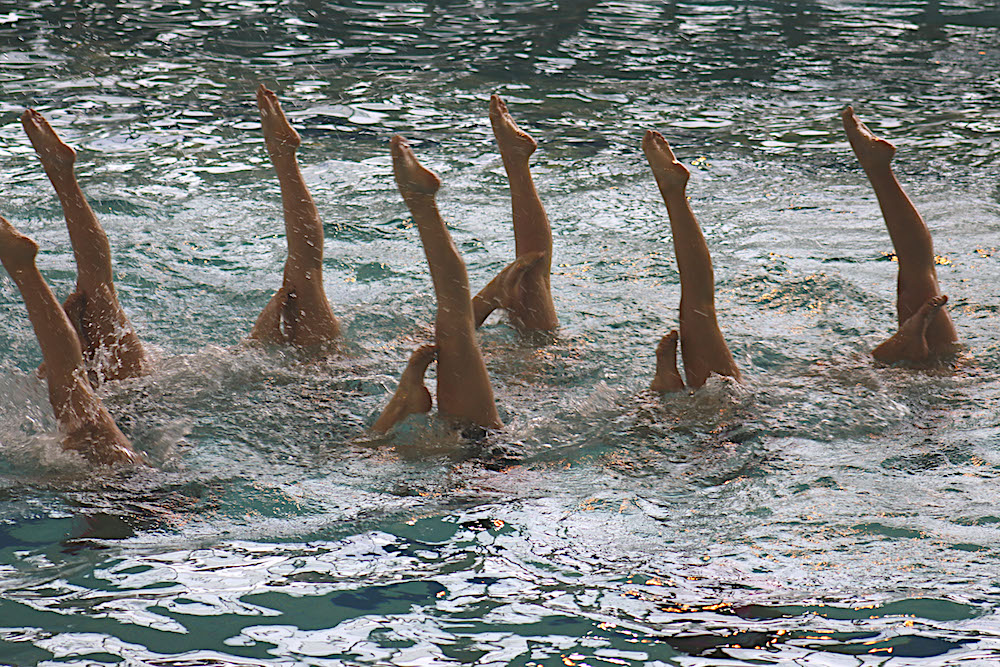 Le Fun Beluga Bastia entre dans la cour des grands