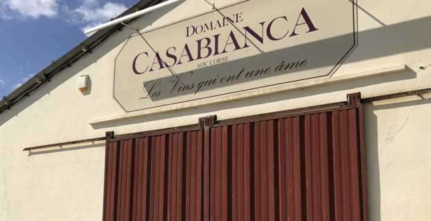 Plaine Orientale : Polémique et mobilisation contre la mise aux enchères du domaine Casanis