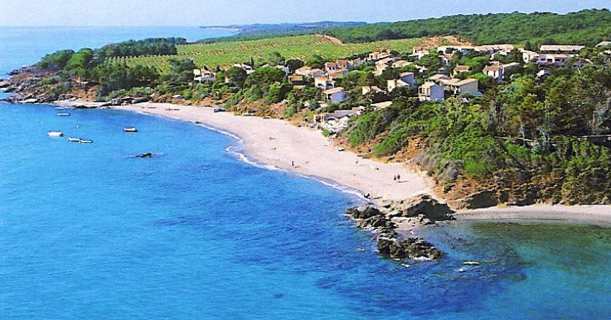 Plaine Orientale : Polémique et mobilisation contre la mise aux enchères du domaine Casanis