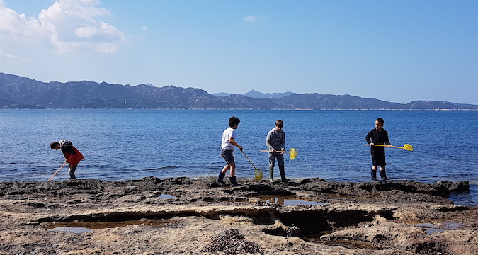 Saint-Florent : Les élèves de l'école Porette de Corte sur la plage d'Olzu 