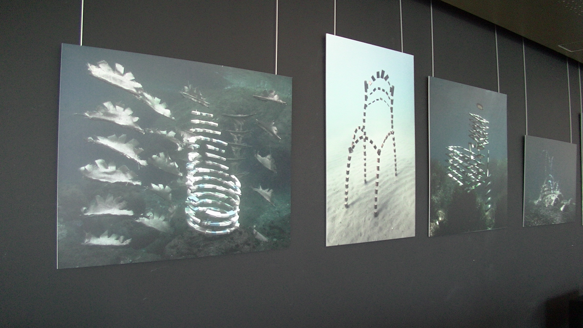 Bastia : La mer et ses dessous en exposition à L’Alb’Oru