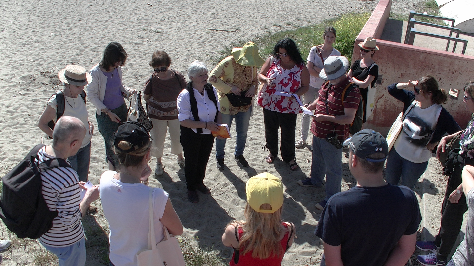 Bastia : A la découverte des plantes marines …