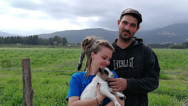 Borgo : A Tinuta, la première ferme pédagogique en Haute-Corse !