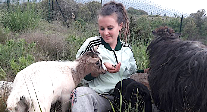 Borgo : A Tinuta, la première ferme pédagogique en Haute-Corse !
