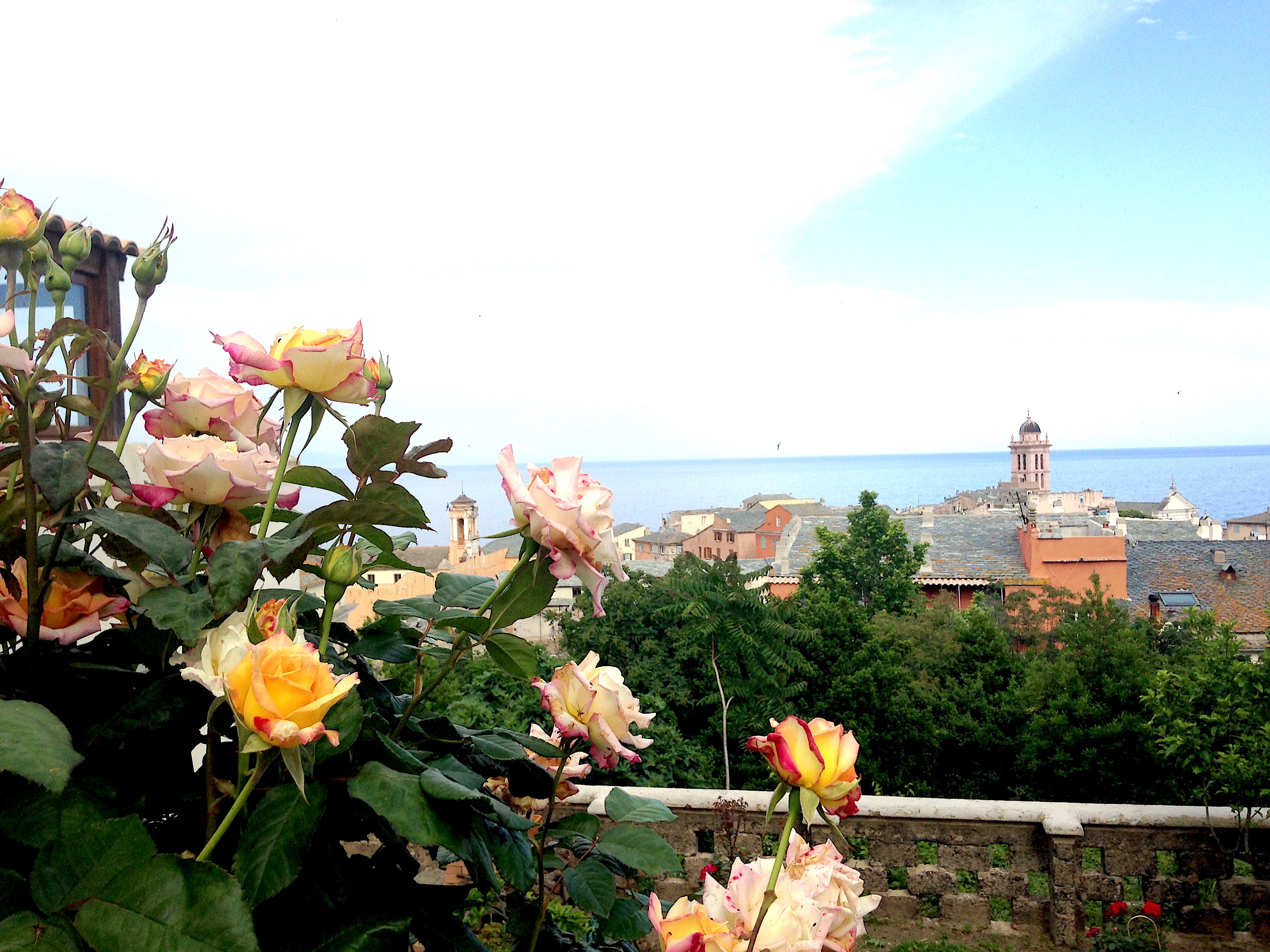 La photo du jour : Les roses et le Palais des Gouverneurs de Bastia