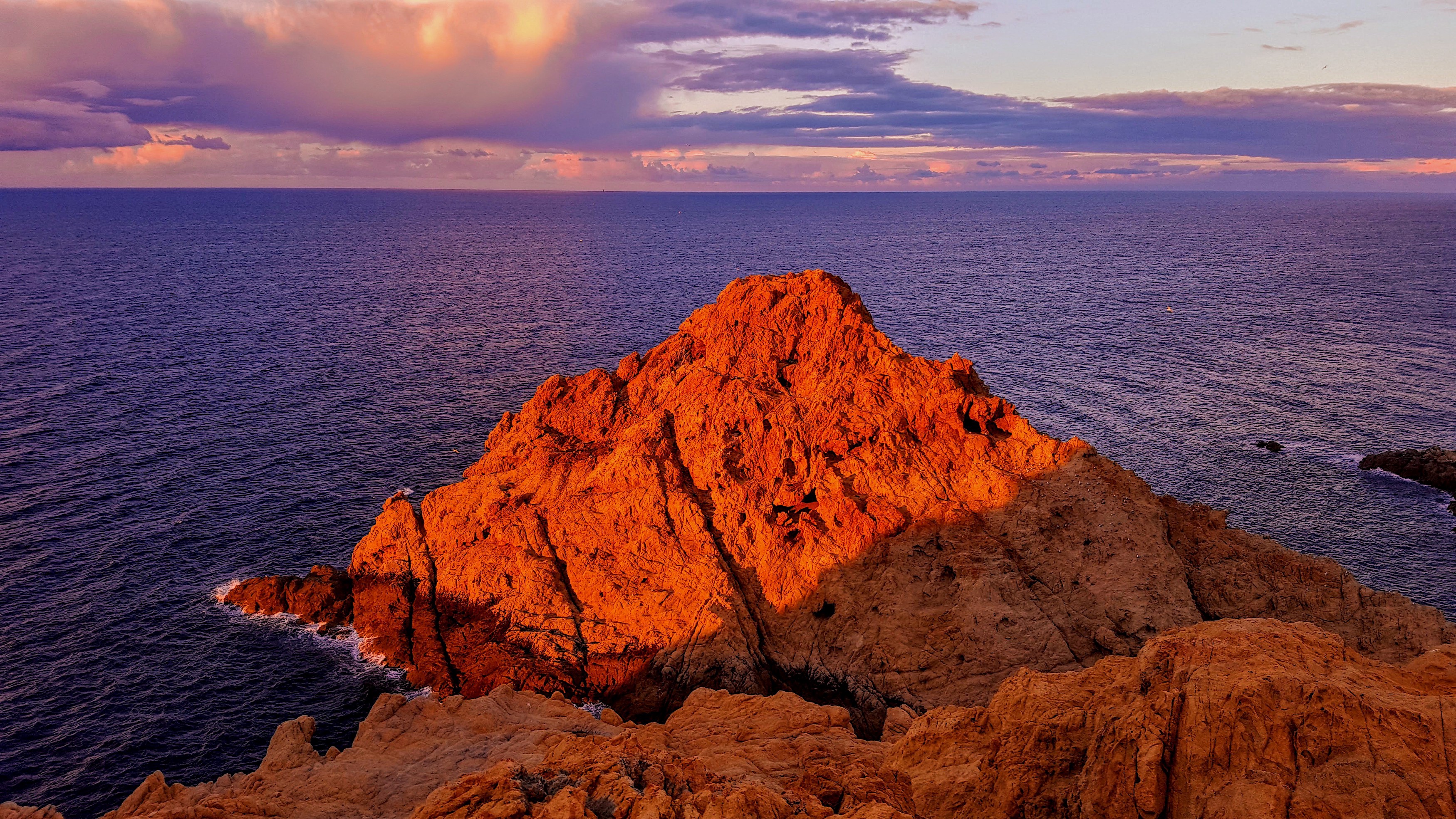 La photo du jour : Lisula…Rossa