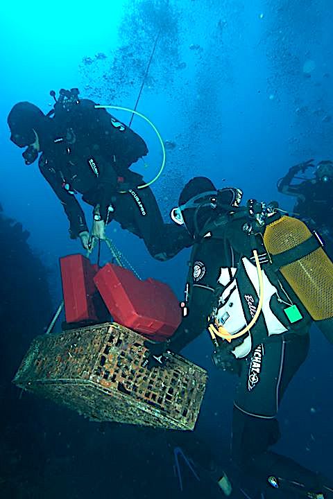 Insolite : Les vins du Clos Landry de Calvi vieillissent à 60 m sous l'eau