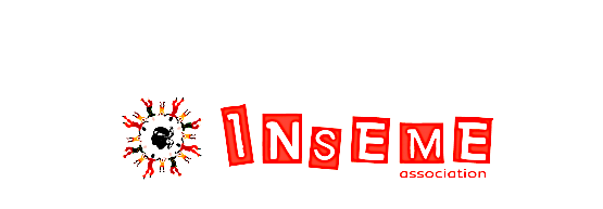 Renouvellement de la desserte aérienne de la Corse : L'appel d'Inseme