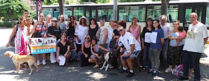 Abandons, maltraitances, vols et disparitions : Le "bel" été des animaux en Corse