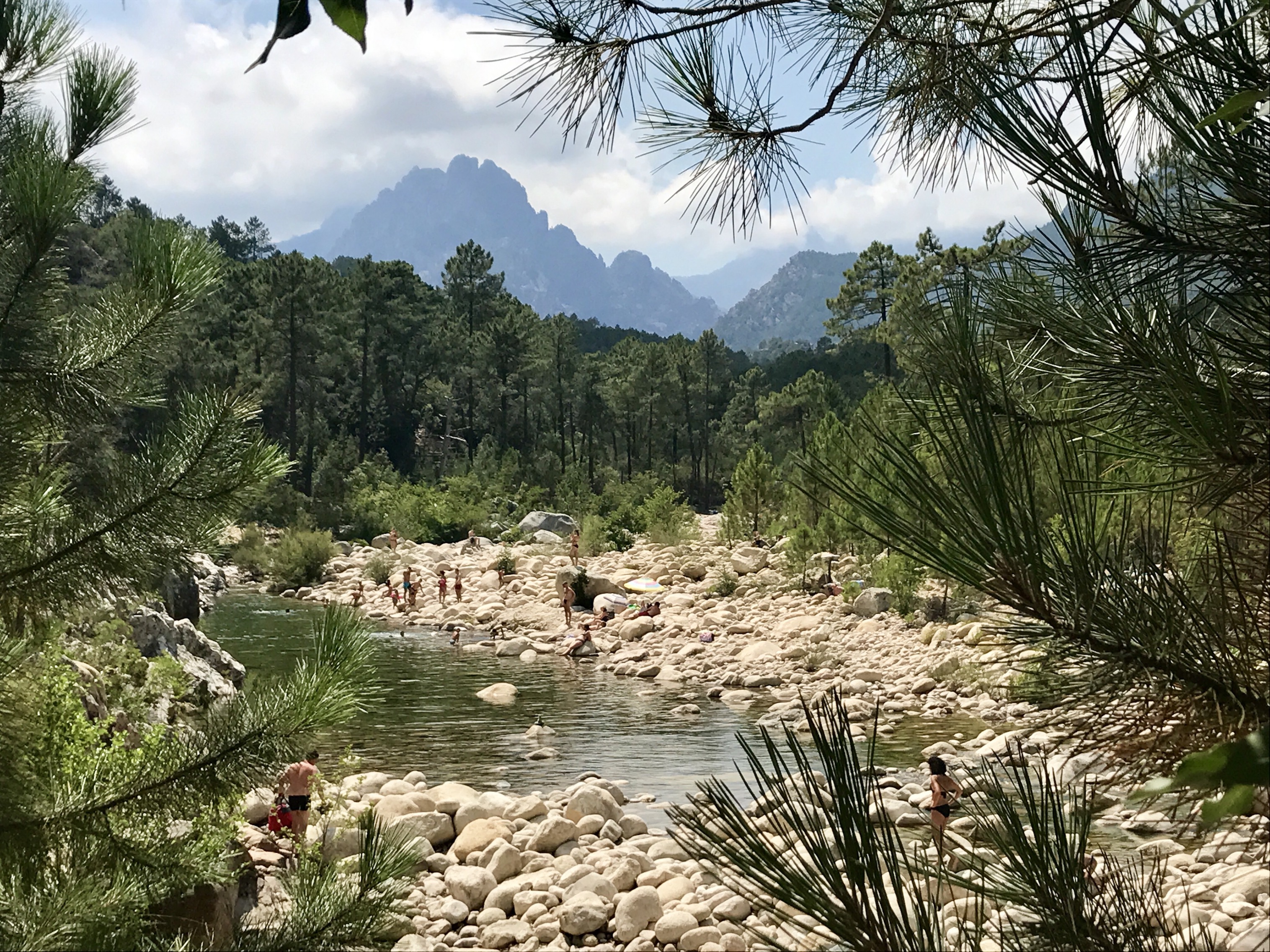 La photo du jour : Dans les eaux de la Sulinzara