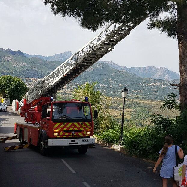 Le Petit Chat Sauve Par Les Sapeurs Pompiers De Calvi