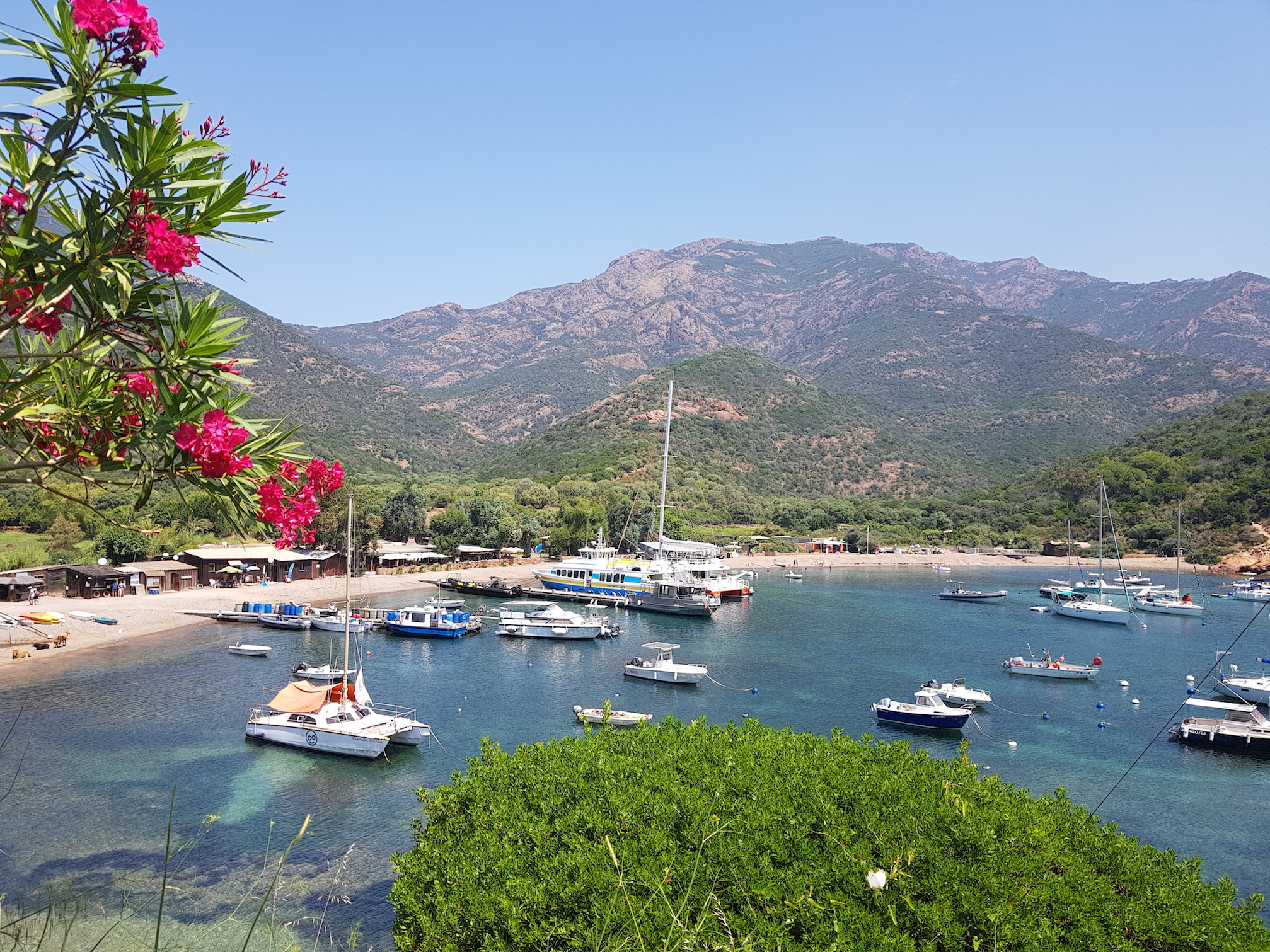 La photo du jour : Girolata, ça se mérite