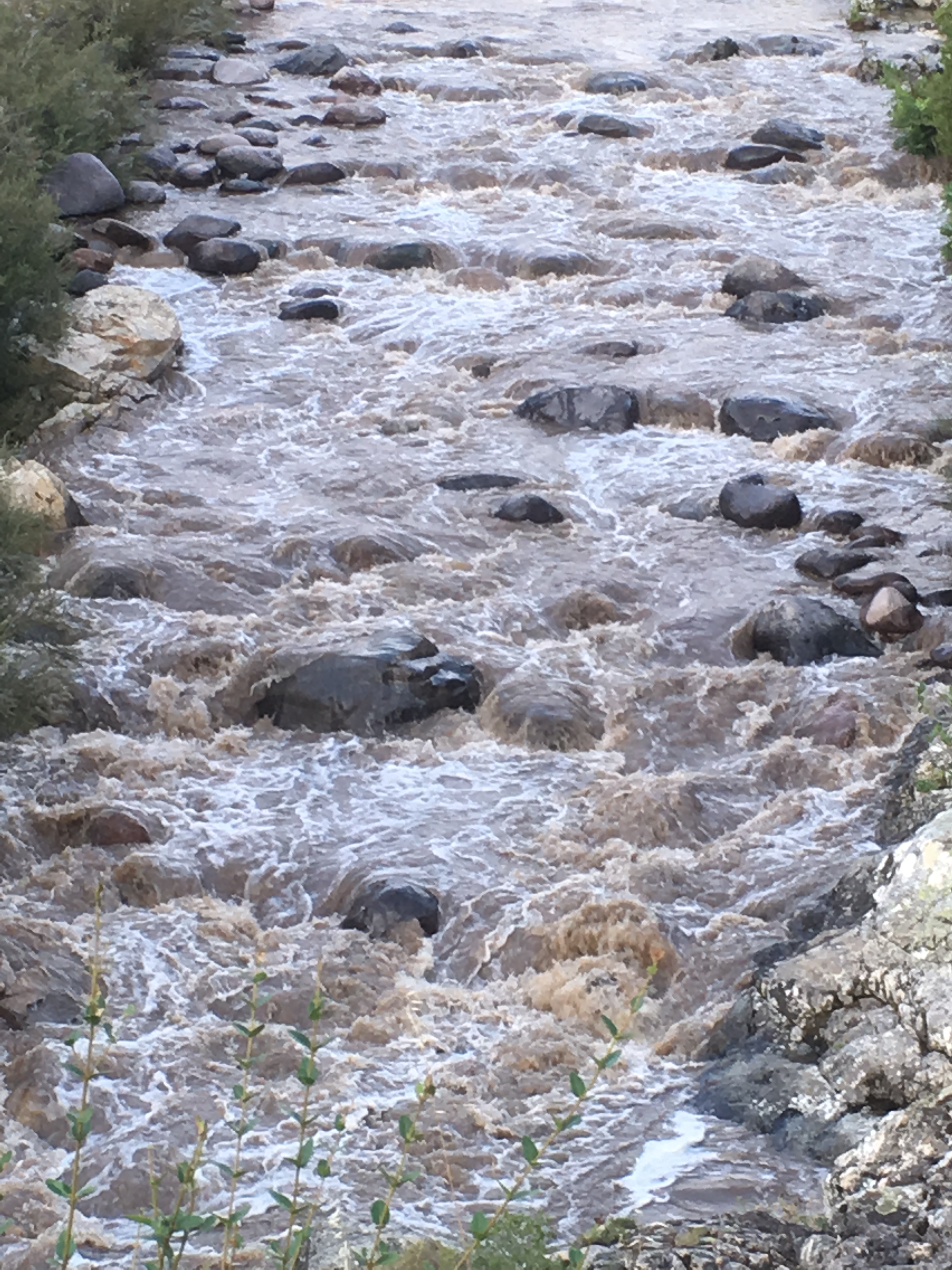 (Photo et vidéo Angeot Santucci)