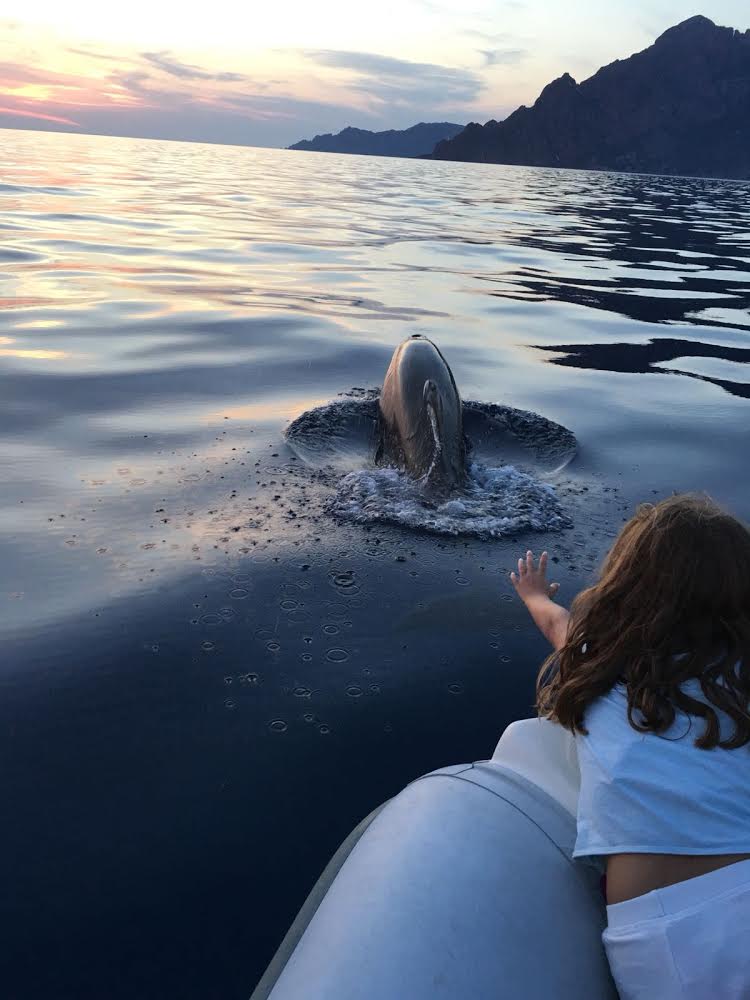 La photo du jour : Le dauphin et l'enfant dans le golfe de Porto