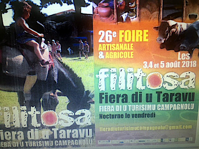 Sartenais-Valinco-Ornano : L’ATC en séminaire à « a fiera di u Taravu »