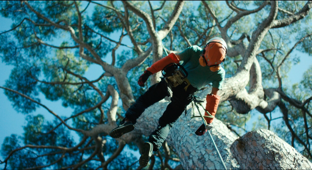 Casse-Noisette, court métrage de Justine-Julie Lefèvre, Prix du Jury de la compétition de courts métrages corses.