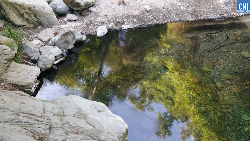 Pollution de la rivière de la vallée de la Lota au lieu dit Botte !