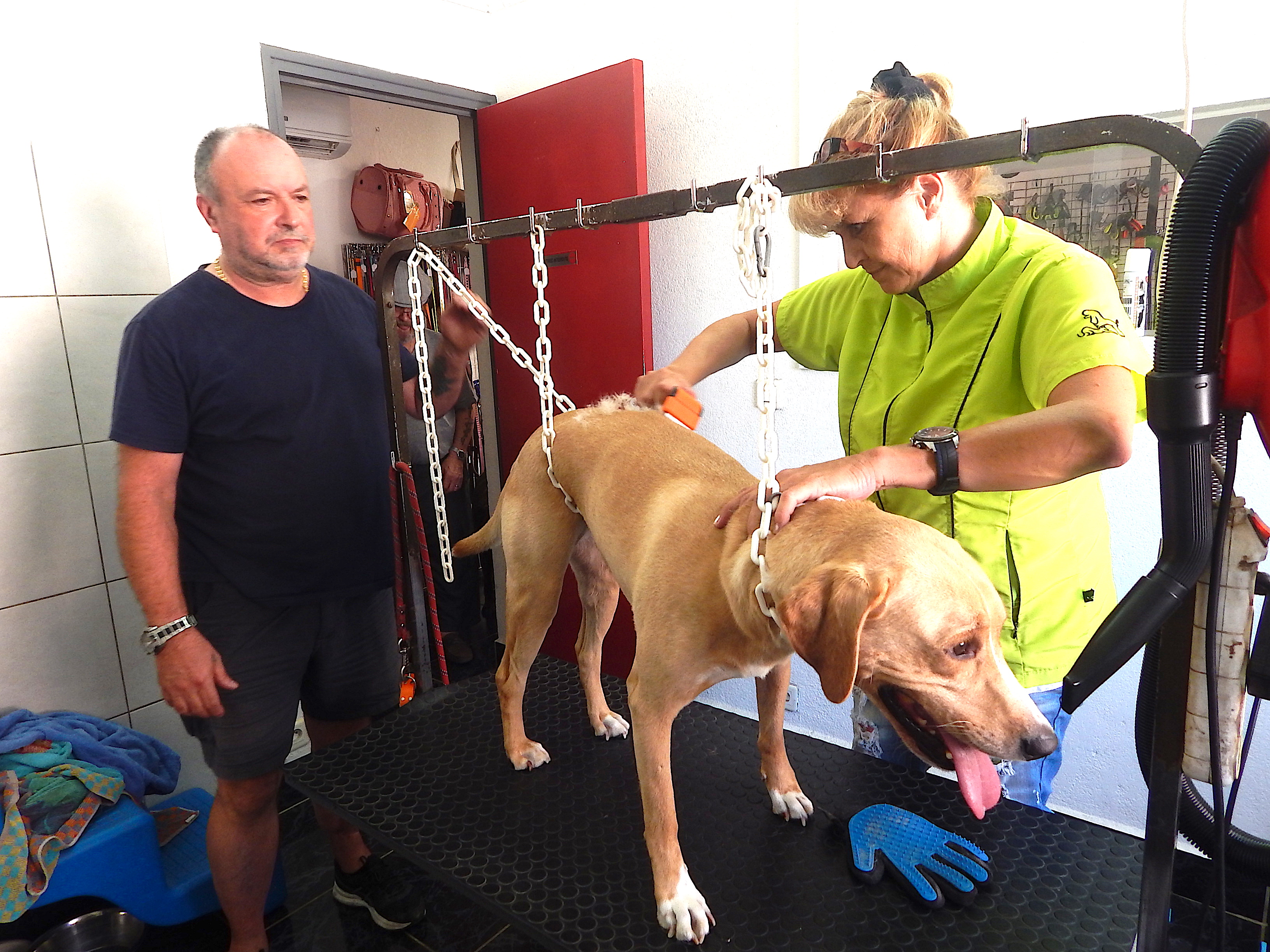 Porto-Vecchio : Après la plage, le salon de toilettage
