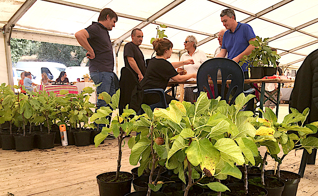 (Photos Michel Luccioni)