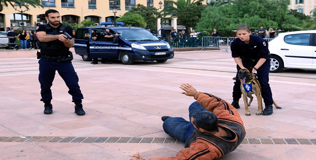 Chien de la brigade canine lors d'une arrestation