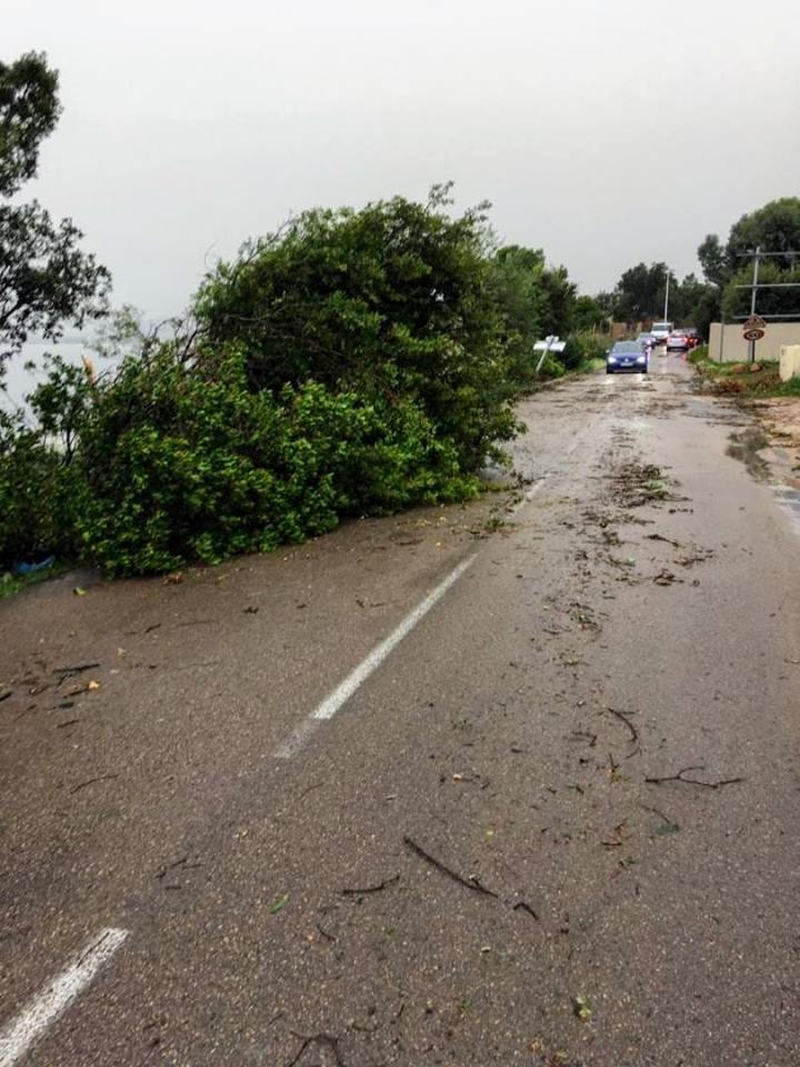 (Augustin Chiodetti)