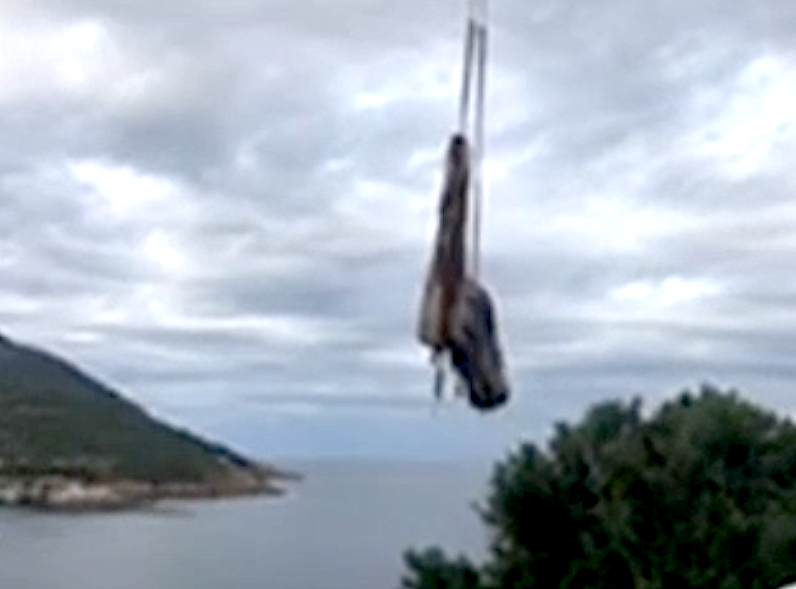 Galeria : La carcasse du cachalot échoué lundi a été retirée