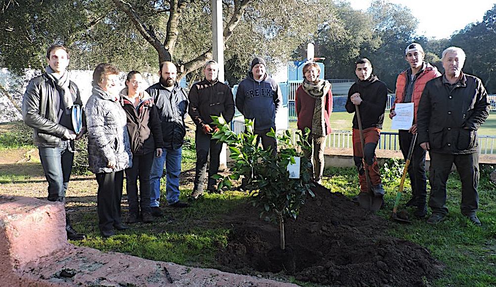 Porto-Vecchio  : Chantier d’insertion arboricole « Agrumes aux mille Fleurs »