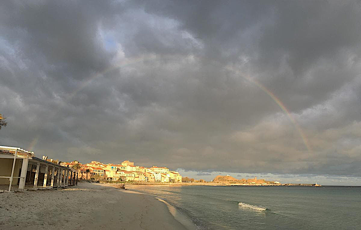 La photo du jour : Lisula illuminée sous une bulle arc-en-ciel