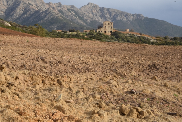 Luzzipeu : Droit de réponse de Jean Vincent et Jean Raphael Grisoli au communiqué de Via Campagnola du 27/12/2018