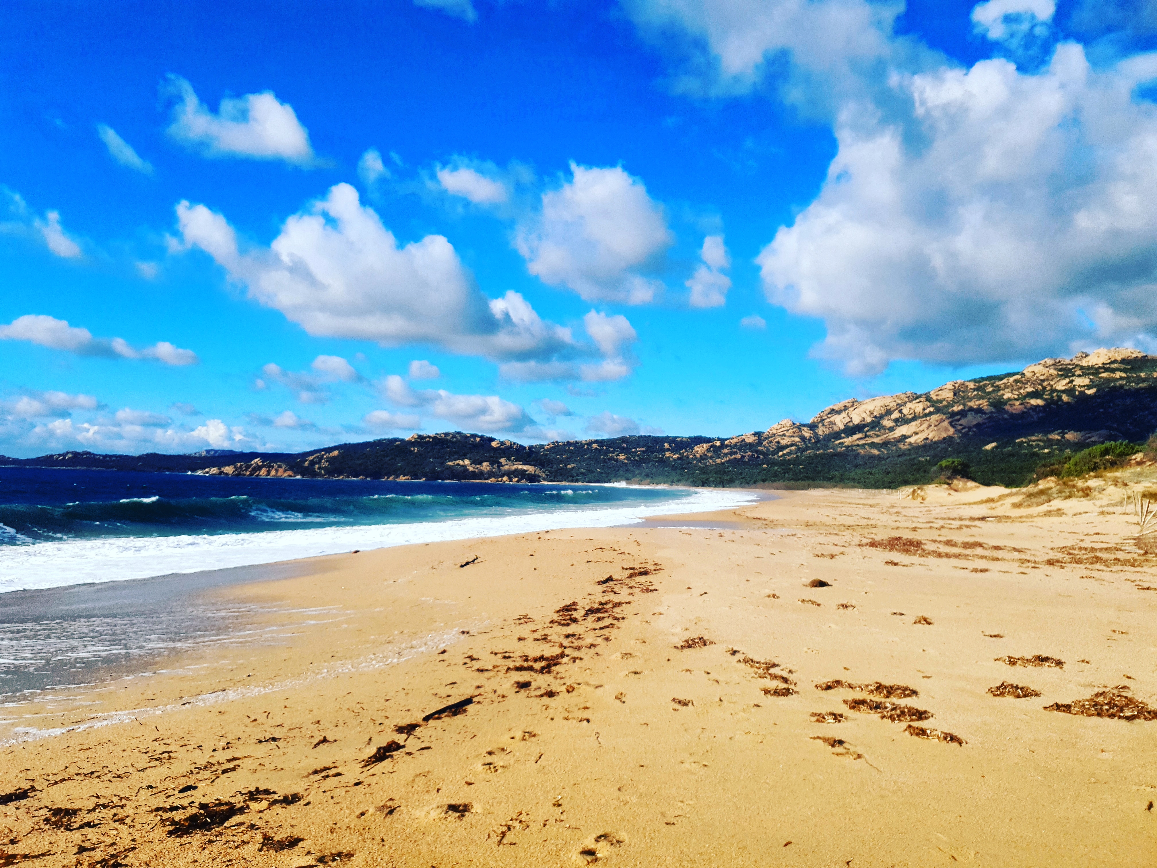 La photo du jour : Sur le sable doré de Murtoli