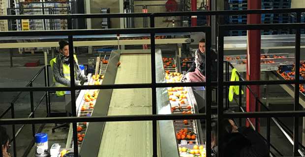 François-Xavier Ceccoli : « L’image de la Corse en matière de produits alimentaires est très bonne »