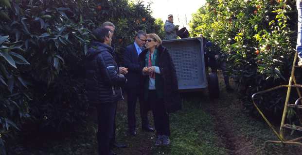 François-Xavier Ceccoli : « L’image de la Corse en matière de produits alimentaires est très bonne »