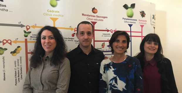 Laetitia Ferraci, directrice de l’office de tourisme de l’Oriente, Thomas Gaudin, conseiller technique, représentant la Chambre de Commerce de Haute-Corse (CCI2B), Hélène Santoni, directrice de l’office de tourisme de Fium’Orbu Castellu, et Maryline Renoso, directrice de l’office de tourisme de Costa Verde.