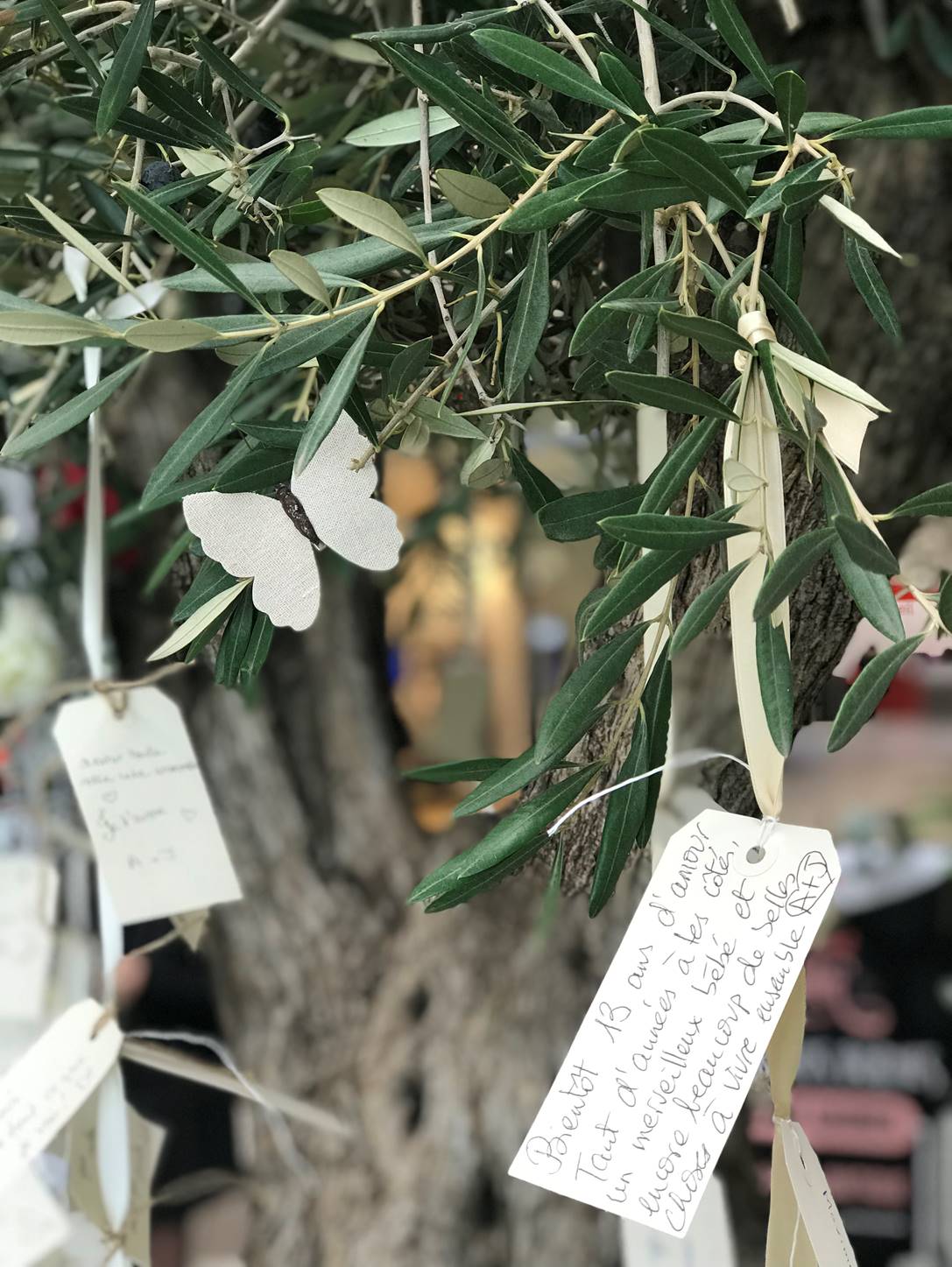 La Saint Valentin approche et à l’Atrium d'Ajaccio l’amour s’empare des lieux
